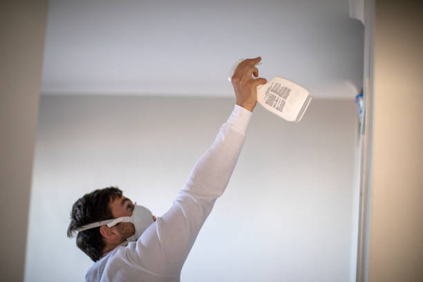 Best Local Mold Removal Service  in Hazleton, PA