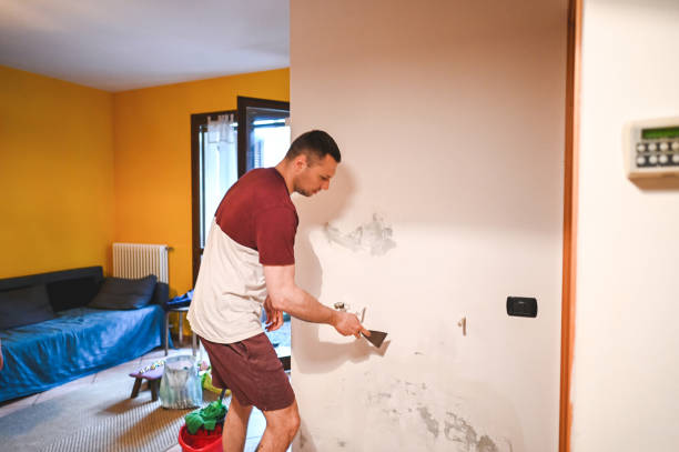Home Mold Removal in Hazleton, PA